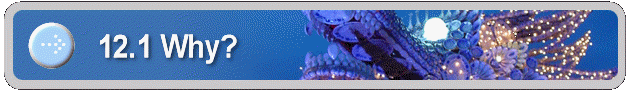 12.1 Why?