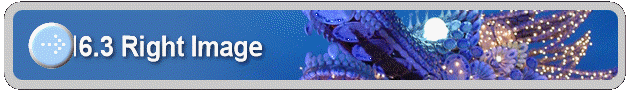 16.3 Right Image
