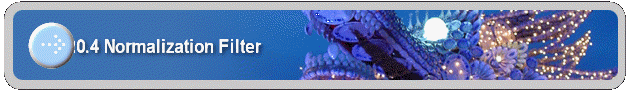 20.4 Normalization Filter