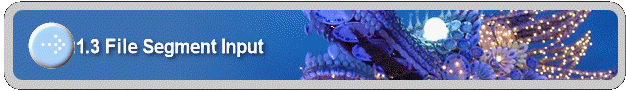 21.3 File Segment Input