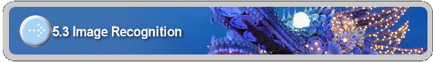 25.3 Image Recognition