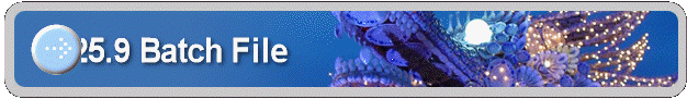 25.9 Batch File