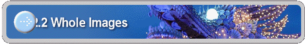 2.2 Whole Images