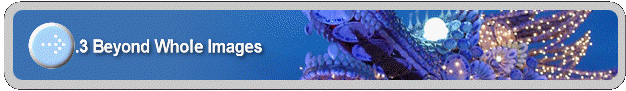 2.3 Beyond Whole Images
