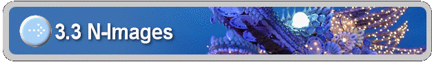 3.3 N-Images