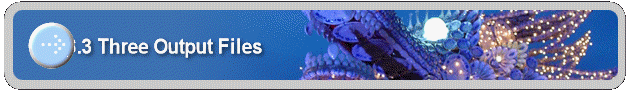 6.3 Three Output Files
