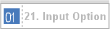21. Input Option