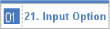 21. Input Option