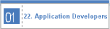 22. Application Developers