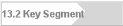 13.2 Key Segment