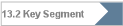 13.2 Key Segment