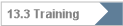 13.3 Training