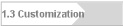 1.3 Customization