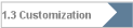 1.3 Customization