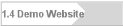 1.4 Demo Website