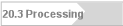 20.3 Processing