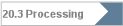 20.3 Processing