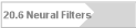 20.6 Neural Filters