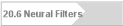 20.6 Neural Filters