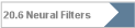 20.6 Neural Filters