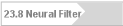 23.8 Neural Filter