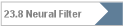 23.8 Neural Filter