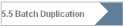 5.5 Batch Duplication