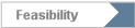 Feasibility