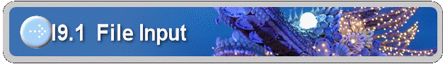 19.1  File Input