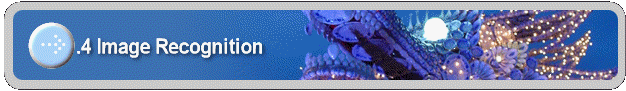 1.4 Image Recognition