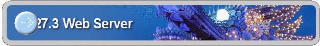 27.3 Web Server