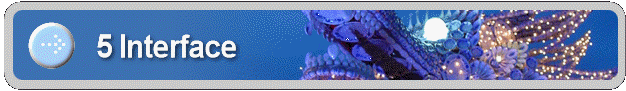 5 Interface