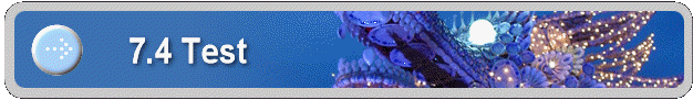 7.4 Test