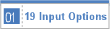 19 Input Options