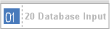 20 Database Input