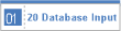 20 Database Input