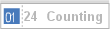 24  Counting 