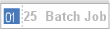 25  Batch Job