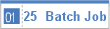 25  Batch Job