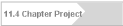 11.4 Chapter Project