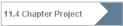 11.4 Chapter Project