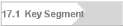 17.1  Key Segment