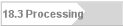 18.3 Processing
