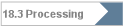 18.3 Processing
