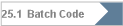 25.1  Batch Code
