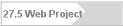 27.5 Web Project