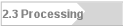 2.3 Processing