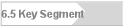 6.5 Key Segment