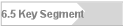 6.5 Key Segment